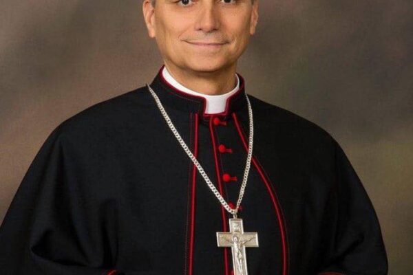 Pope Leo XIV, From Chicago to the Chair of St. Peter Pope Leo